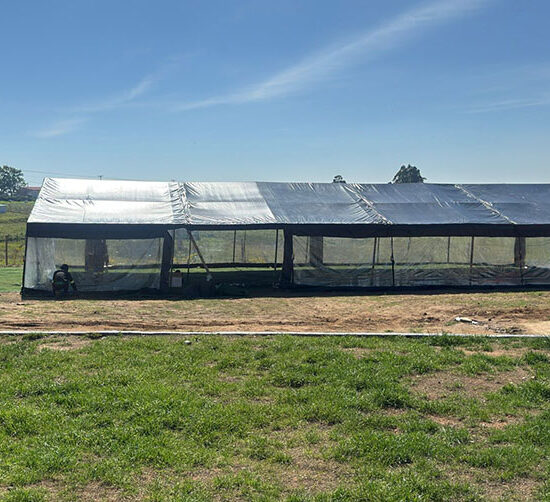 Blue Tent Events